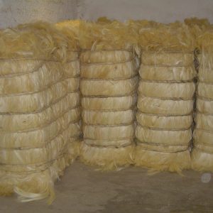 批发购买剑麻纤维的最佳地点。