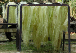 where can I buy sisal fiber wholesale in Tanzania