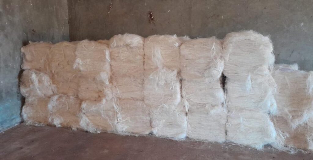 Fournisseurs de fibres de sisal