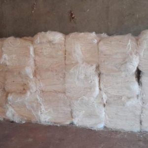 Fabricants de fibres de sisal