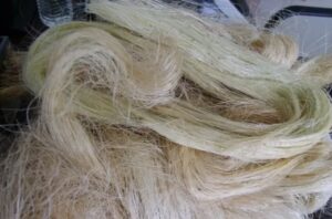 Where to buy Sisal fiber wholesale
