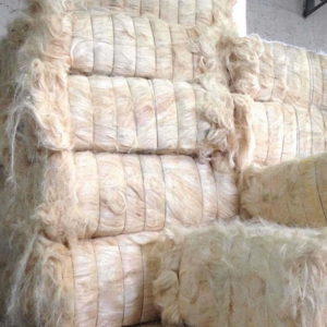 在哪里可以买到剑麻纤维？