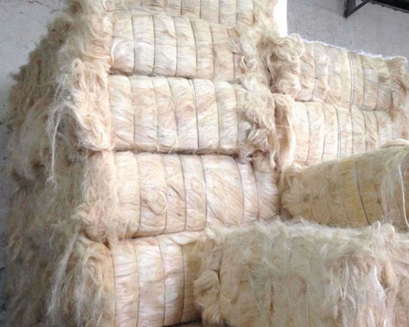 在哪里可以买到剑麻纤维?