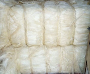 What is Sisal Fiber
